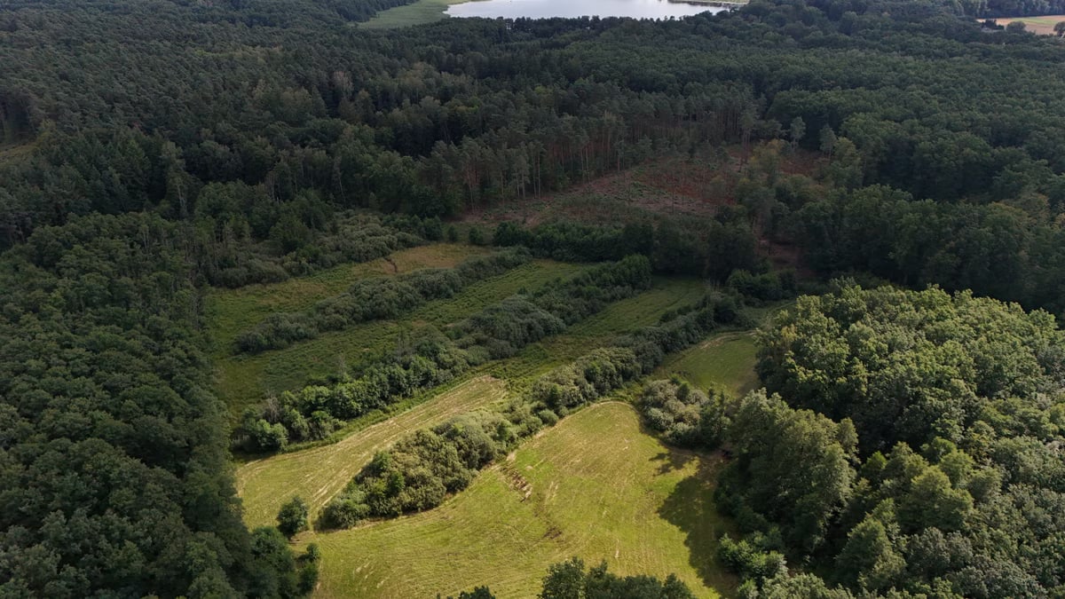 A scenic aerial view of a lush green landscape surrounded by dense forest and a distant lake.
